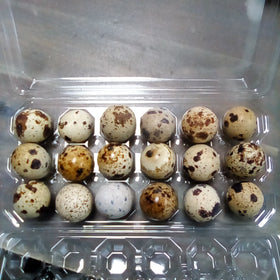 Quail eggs 18pcs
