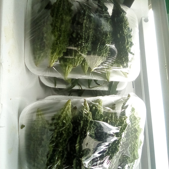 Indian Bittermelon ( Pavakka)