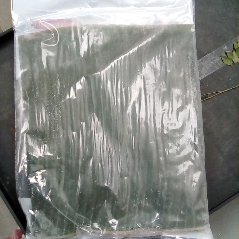 Frozen Banana Leaf