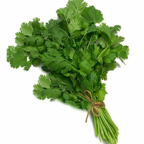 Coriander Leaves
